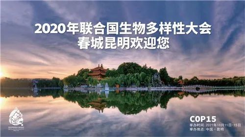 cop15相约春城手抄报图片