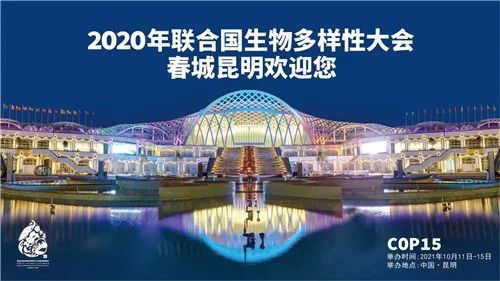 cop15·春城之邀|昆明这组绝美海报亮相央视黄金时段,你看到了吗?