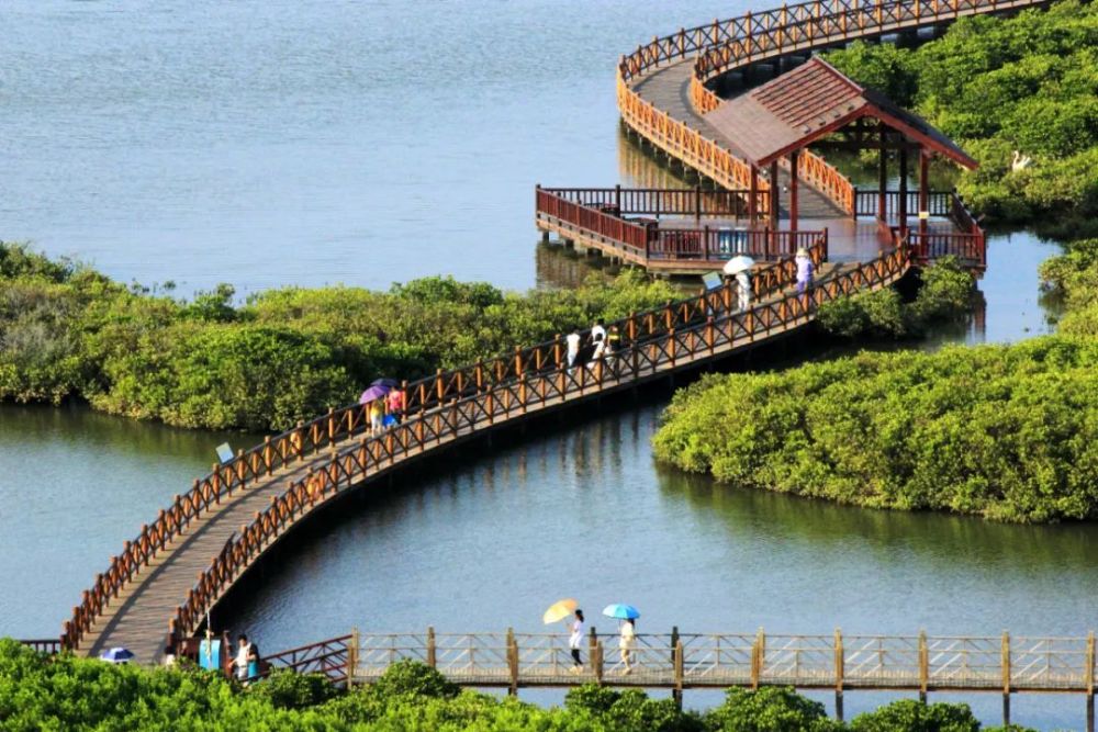 海南这个湿地公园值得一去!_中国文旅传媒网