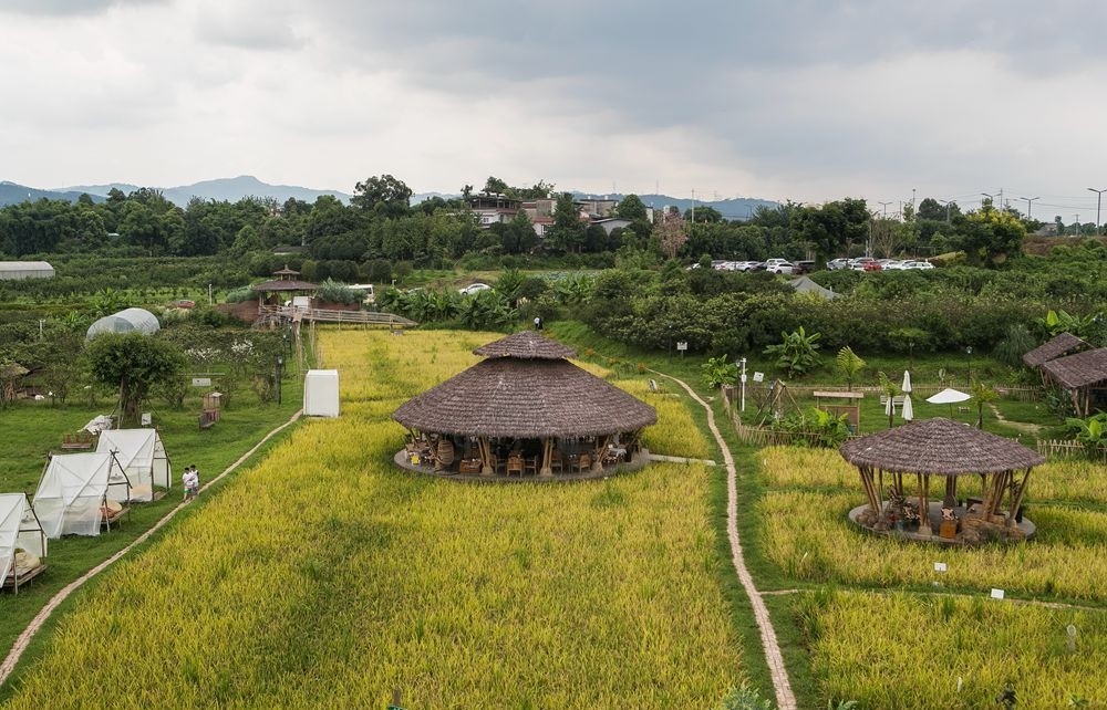 四川天府新区的乡村振兴表达