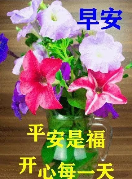 最新漂亮早上好圖片表情帶字和鮮花,早安問候語配動態圖片早上好祝福