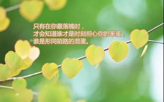 自己如何與自己相處,比如人去樓空的時候如何照顧好自己的孤獨,比如夜