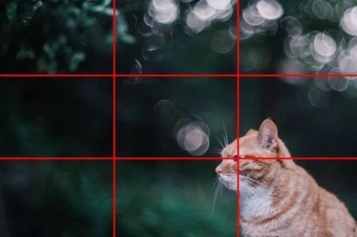 除了三分法,还有什么常见的构图方法