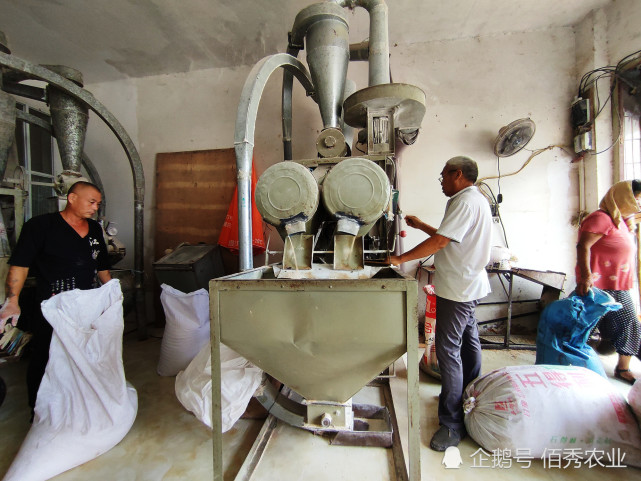 农民为啥不自己加工小麦面粉了专家主要与面粉的认知偏差有关