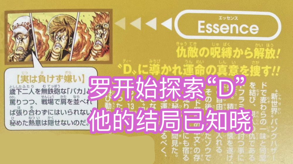 尾田在罗的生命卡图鉴里提到了【d】,这是罗之前并没有打算去深究的一