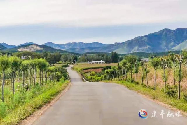 【创城】青松岭乡:整治环境 扮靓乡村|青松岭村