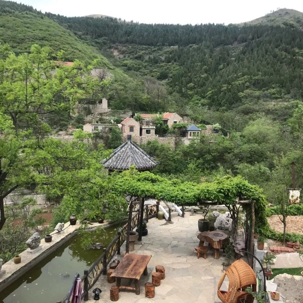 马上迎来颜值巅峰!山东这座小城美食超赞,猕猴桃一口爆汁