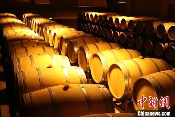 微信云投币的钱怎么退_微信云投资_微信云投币付款是干什么的