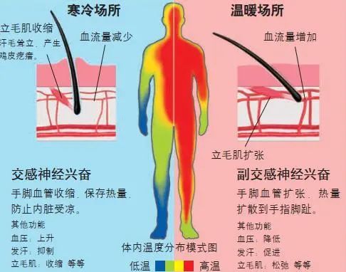 因何手腳冰涼