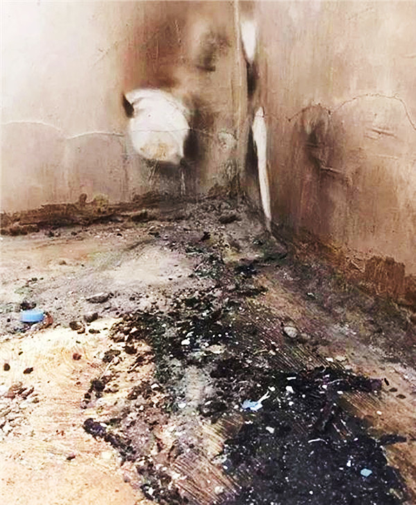 高秀媚杀人焚尸案:性格极端为情夫生子,杀死丈夫获赔巨额保金