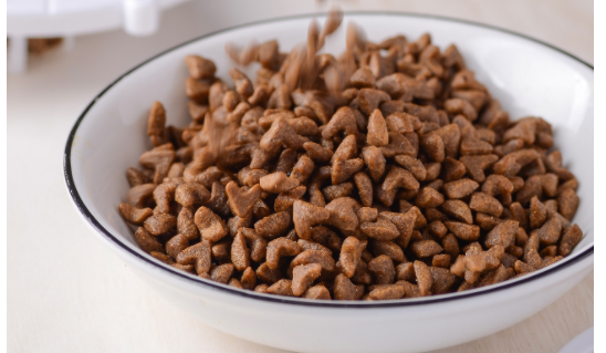 学会这三点教你如何鉴别毒猫粮