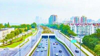 9月27日,扬子江大道绿化改造工程基本完工,将滨江文化,金陵文化,宝船
