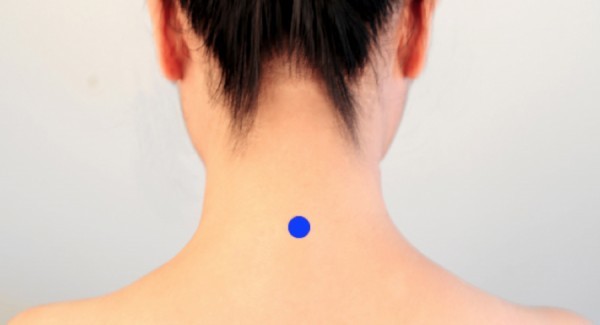 脖子后面的肌肉叫什么_腾讯新闻