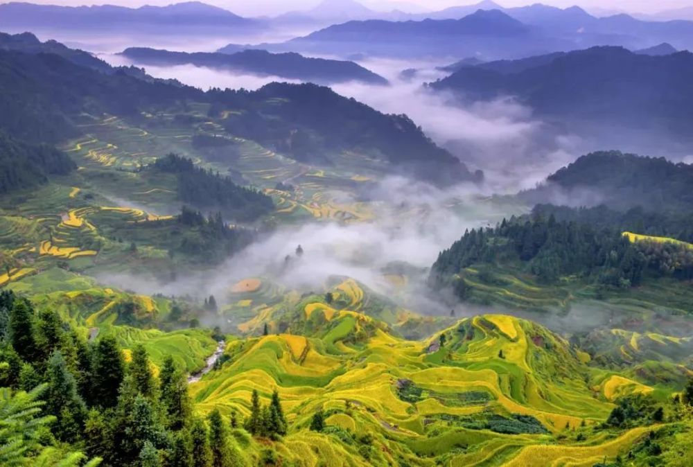 柳州融水:稻香鱼肥,丰满人间