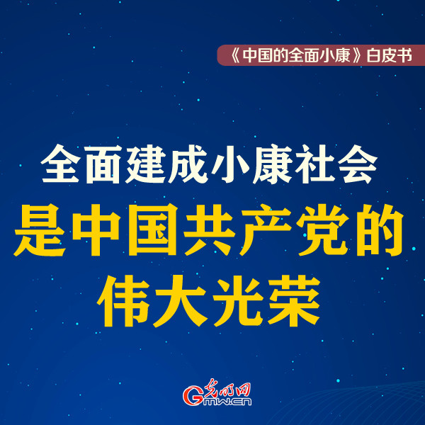 中国的全面小康白皮书发表这些话铿锵有力