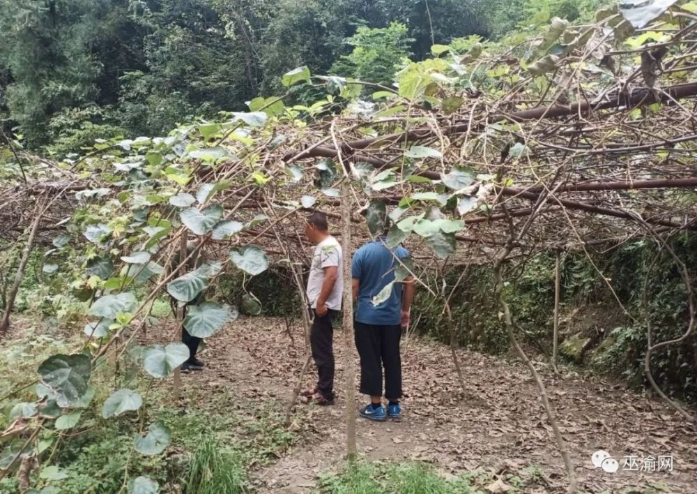 乌龙乡人口_我县各乡镇召开人民代表大会