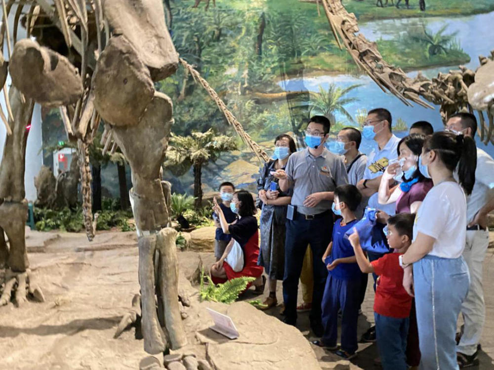 四川自贡恐龙博物馆首场馆长专家月月讲活动开启