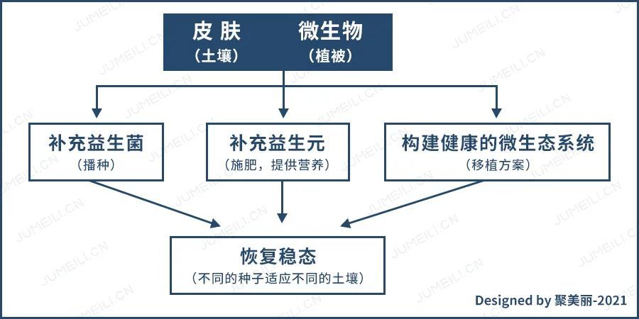 化妆品与人体健康_人体养生健康全图解_人体内的健康密码