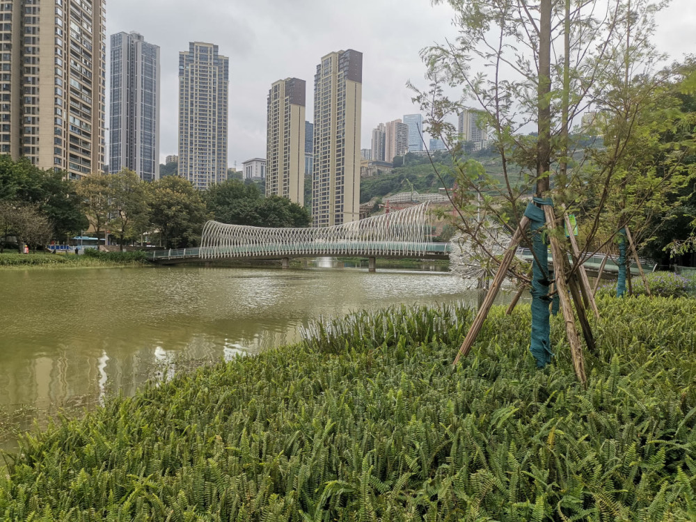 重慶主城好大的人工湖,環境優美核心地段,配套不全卻是a級景區_騰訊