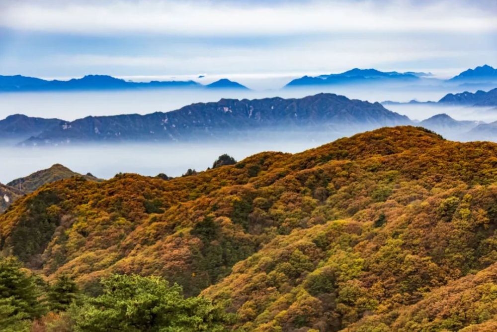 振興示範縣,全國知名旅遊目的地,謀劃實施了堯山景區提升,花瓷古鎮