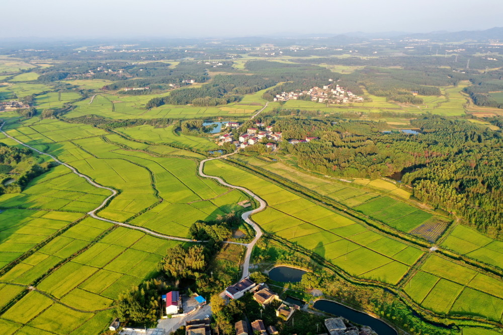 垃圾分类,产业转型等举措,持续改善农村人居环境,推动美丽乡村建设