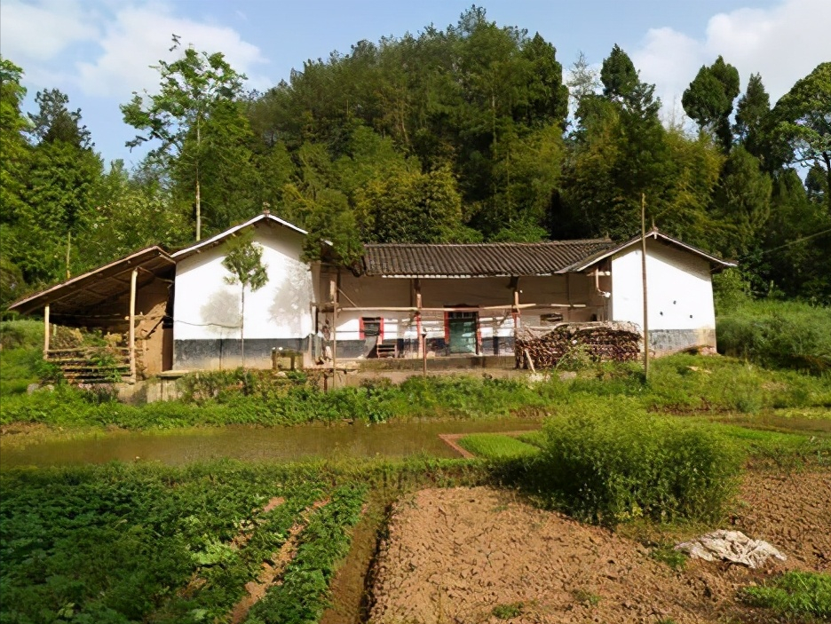 停止确权2021年起不用再争了农村房子统统按新规处理