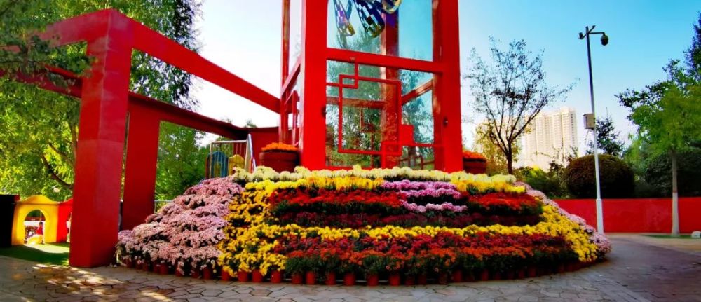 花卉绿化草花批发厂家地址