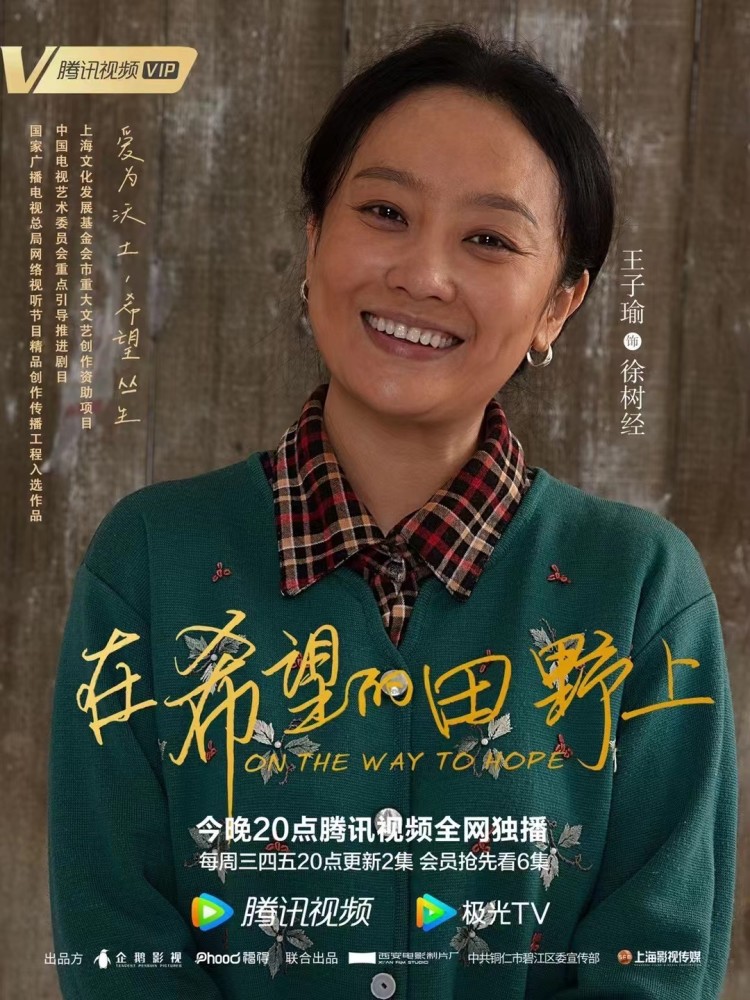 在希望的田野上热播实力演员王子瑜再塑黄金角色