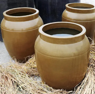 洞庭作家李燕米缸