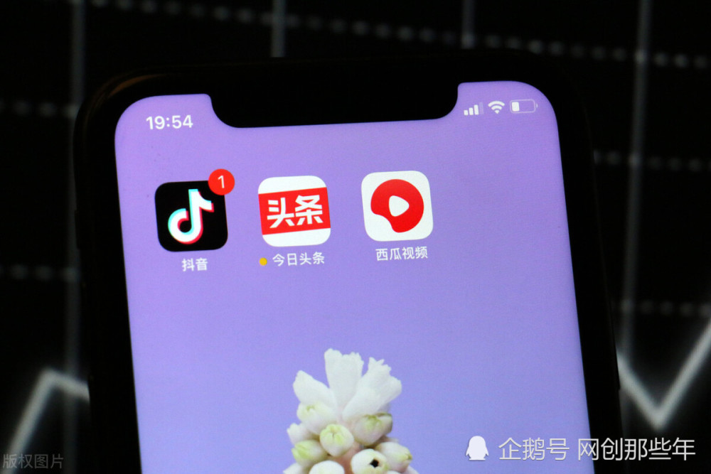 一朵玫瑰多少钱抖音_抖音玫瑰多少钱一个_抖音礼物玫瑰花多钱