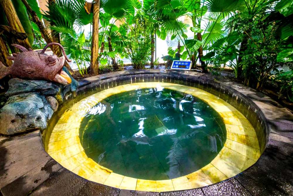 通渭温泉历史悠久,据北魏郦道元《水经注》(卷十七)记载:"温水自黑水