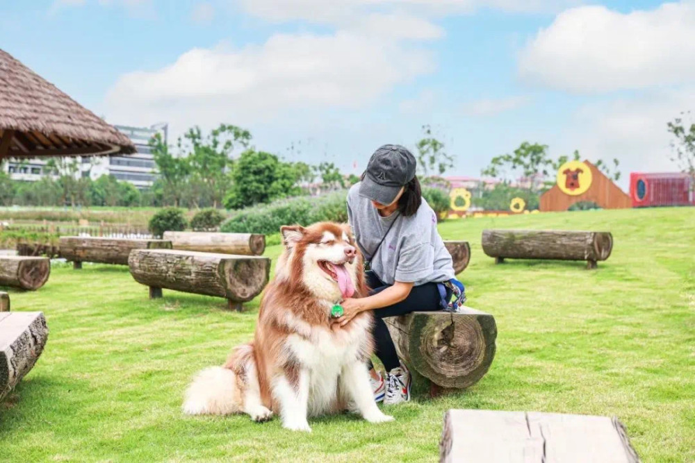 好消息!國慶第一天 成都首個超大型寵物公園來了