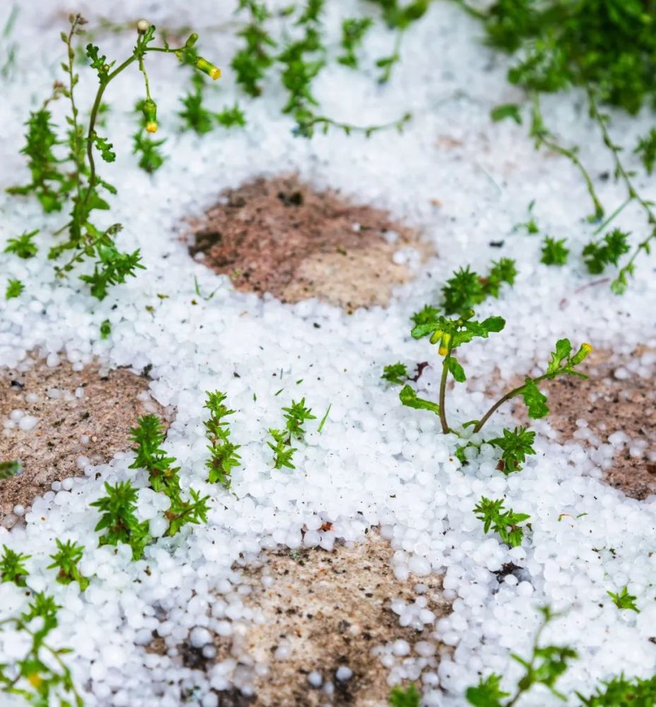 赤道附近下冰雹背后的真相_腾讯新闻