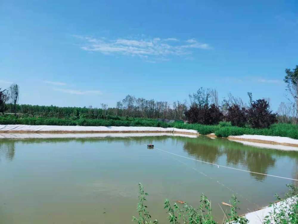 案号:(2018)最高法民终697号;合议庭法官:刘慧卓,杨立初,刘京川;裁判