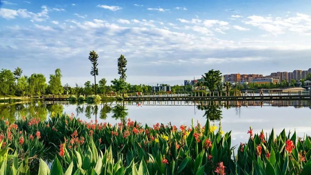 双流人你身边的绿道又惊艳了