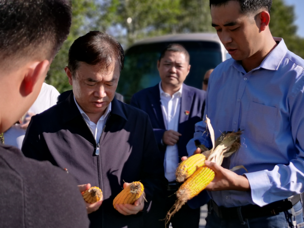 吉林省教育厅厅长王忠赴双辽市茂林镇农林村实地调研