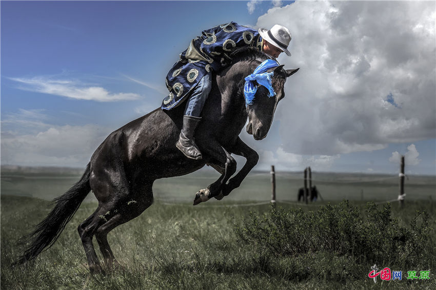 圖觀錫林郭勒千里草原看最勇敢的牧人馴最烈的馬