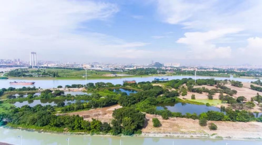 半月岛湿地公园(来源:网络)