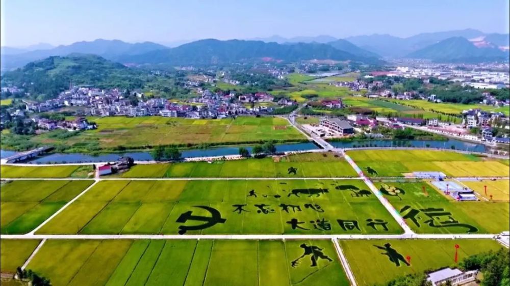 北京这个稻香小镇秋天美成了一幅画门票停车都免费