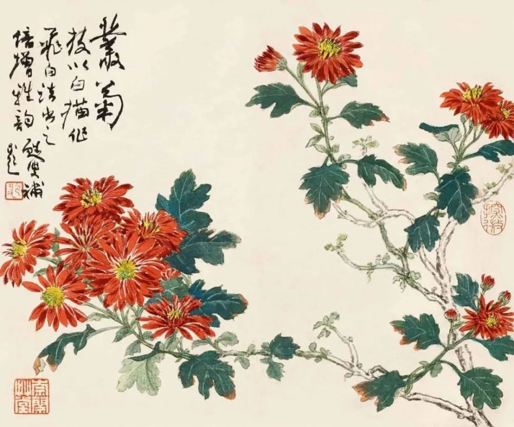 陆抑非画菊花,除了兼顾了菊花的形态以外,还增添了文人的气息,让画面