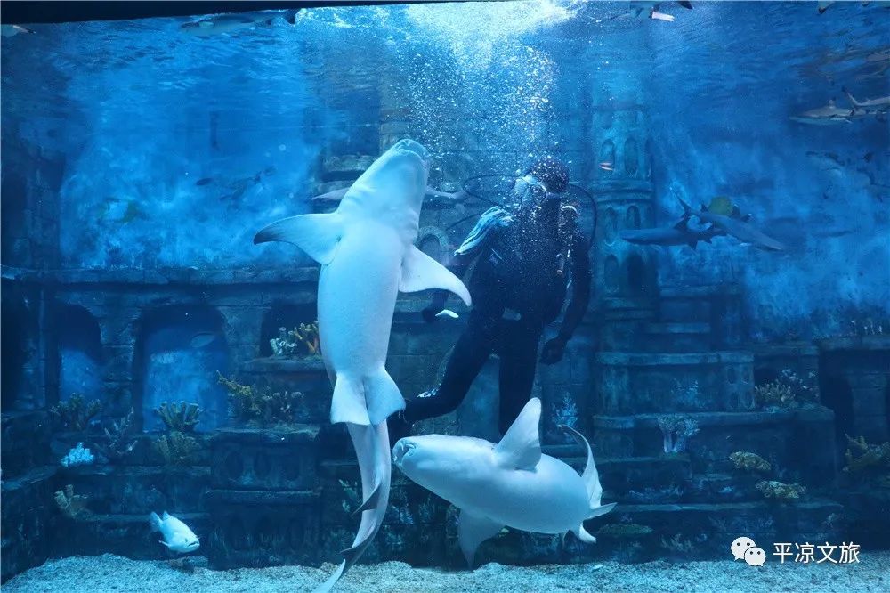 圆通山动物园水族馆图片