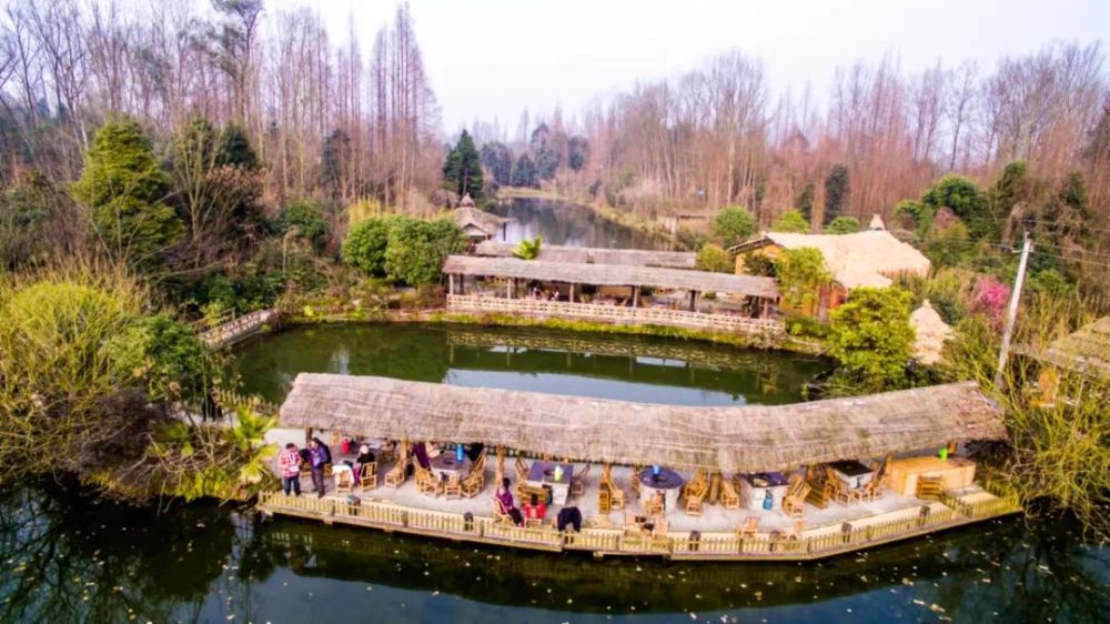 祝贺!石羊镇获评四川省"魅力乡镇"称号