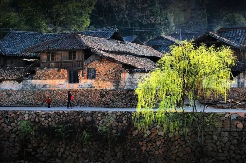 国庆出游丨叮咚国庆攻略来啦360带你玩转山水文成