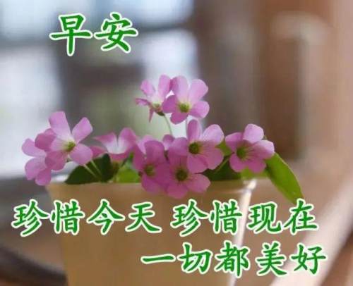 秋天漂亮的早安问候祝福语图片清晨祝福语暖心句子送给朋友