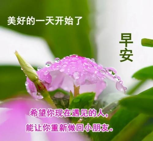 大家早上好的问候语图片合集,创意好看的早安问候语图片加文字_腾讯
