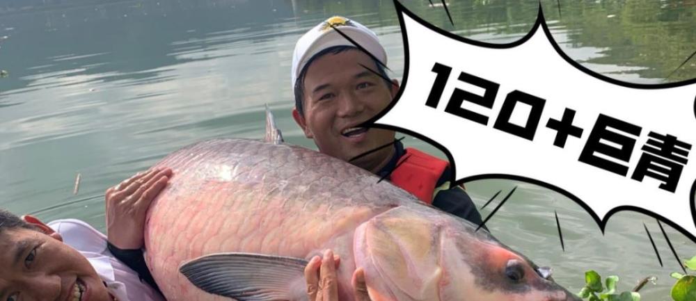 谁是邓刚迅猛增加的粉丝受众?