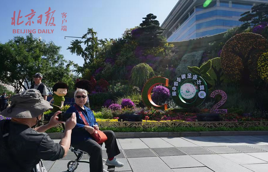 今年国庆花坛里有您的小幸福吗 本端对话总设计师蓝海浪 腾讯新闻