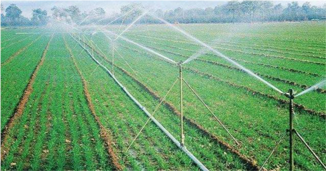 在农村你们那里是怎么浇地灌溉的