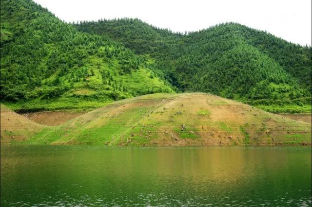 "大河水库引水工程为何迟迟未动工?"面对人大专题询问,回应来了