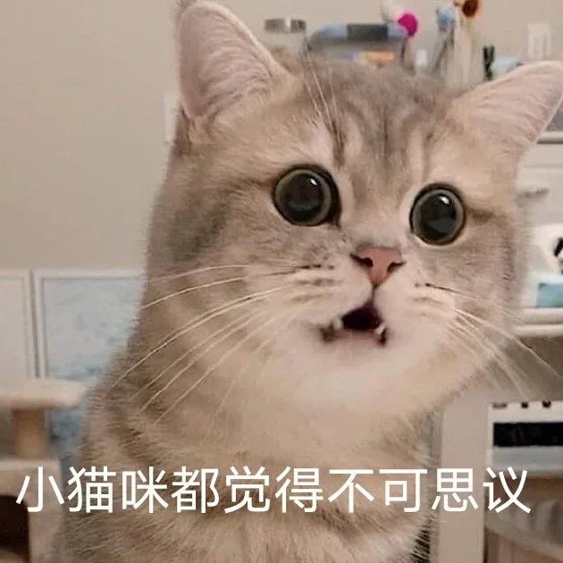 沙雕表情包小猫咪能有什么坏心思呢